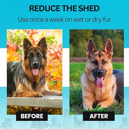 Pet Pro Grooming Tool🐶🐱