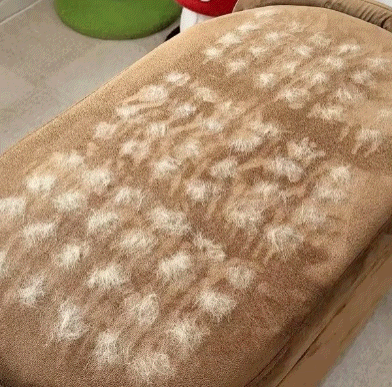 Buy 1 Get 1 Free🔥 Electrostatic Pet Hair Removal Grooming Gloves