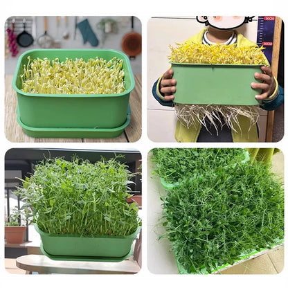Stackable Bean Sprout Growing Box - Multi-layer Design, Perfect for Home Cultivation, Healthy Green Living!