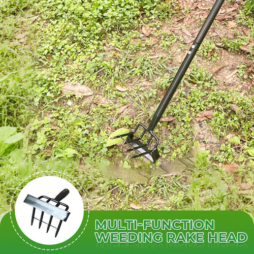 Multi-Function Weeding Rake Head